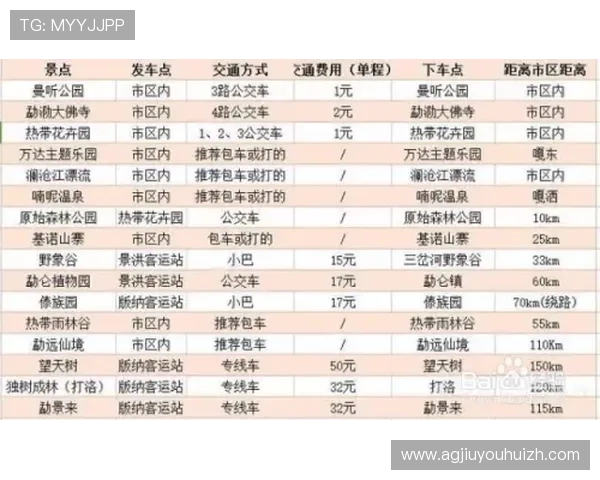 深入理解基诺彩票规则：投注流程、奖金分配及中奖概率提升技巧指南